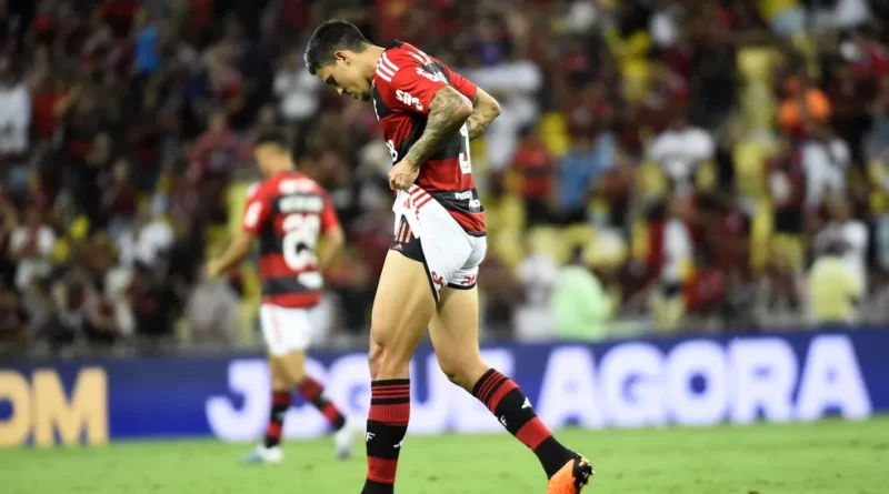 Pedro Flamengo